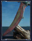TONGSHIFU 1/12 Pterosauria Model