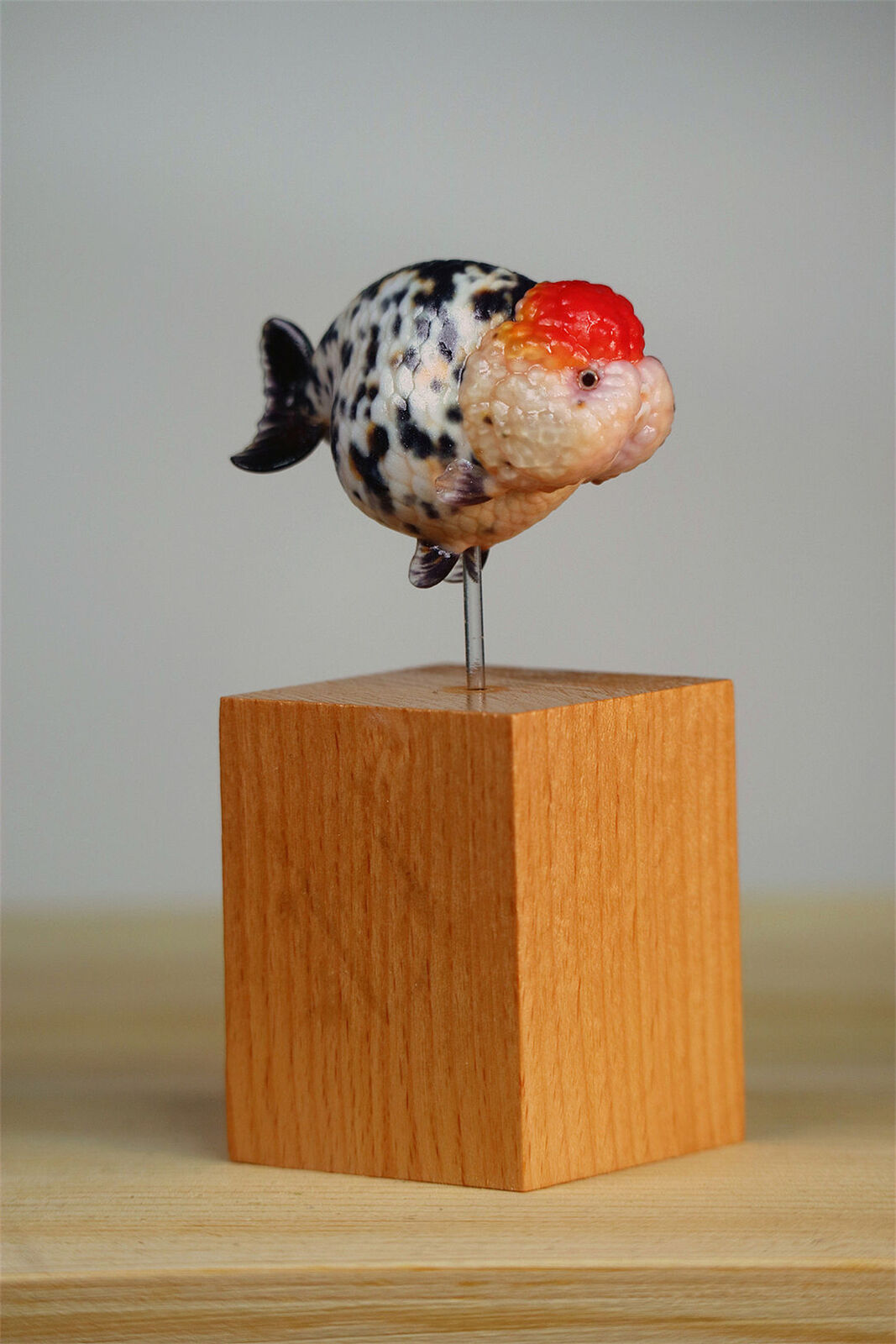 Lanshou Goldfish Model