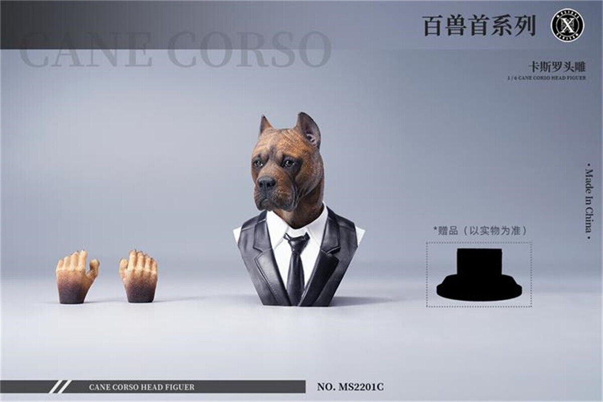 Mostoys 1/6 Cane Corso Head Figure