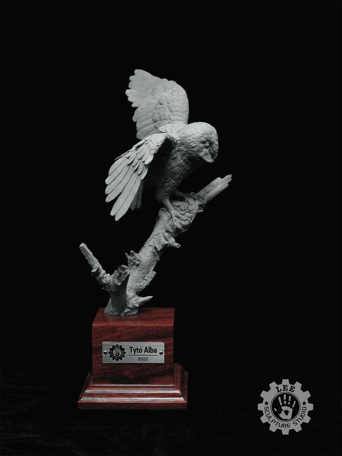 LEE 1/4 Tyto alba Model