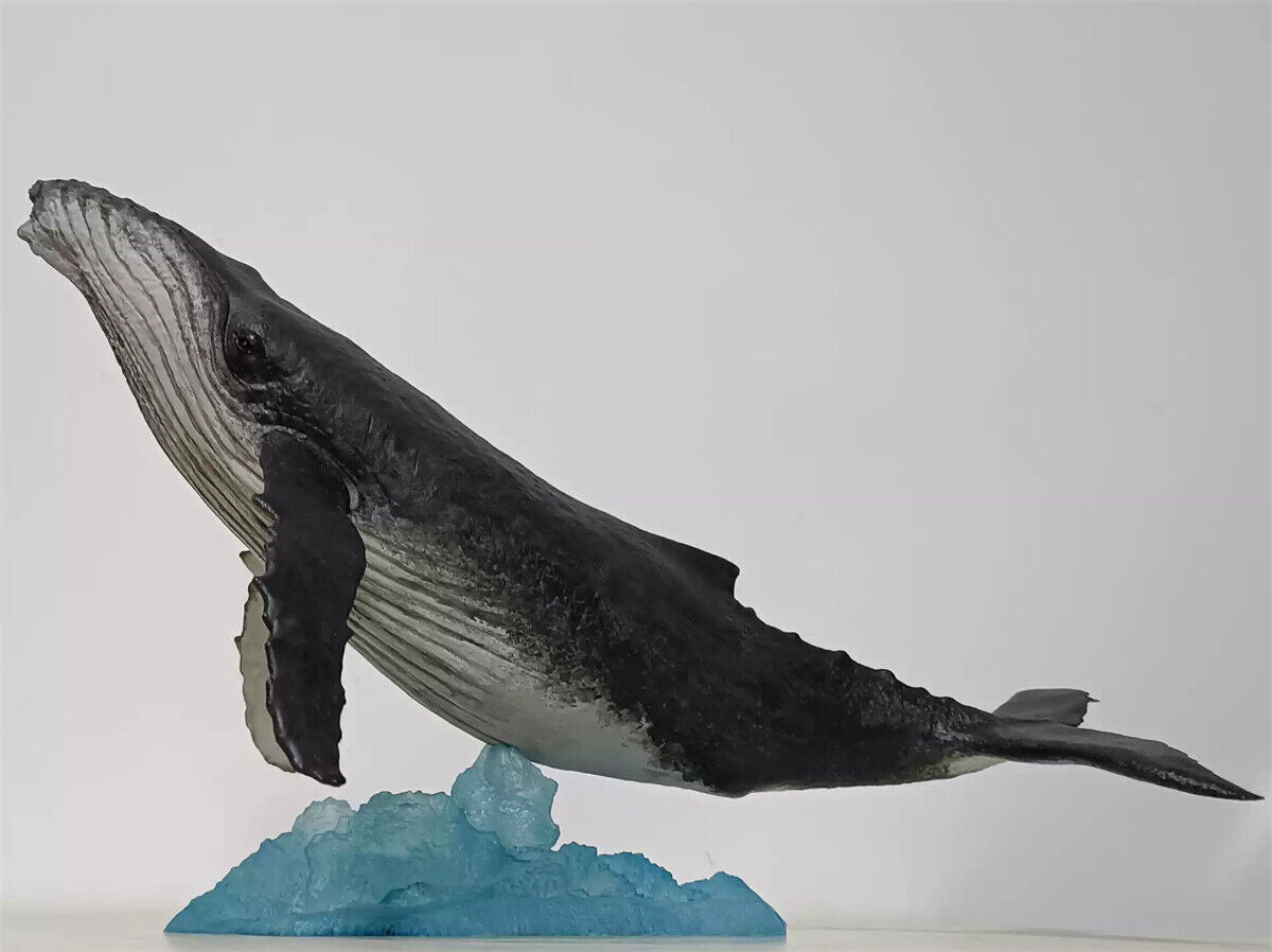 Xifu Studio 1/35 Humpback Whale Model