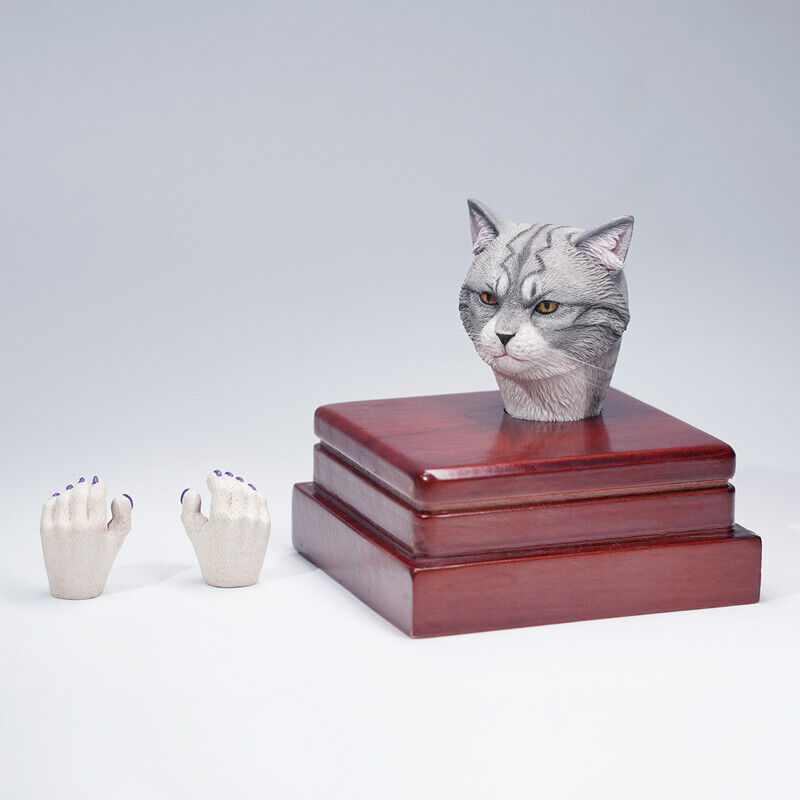 Mostoys 1/6 Felis Catus Head Figure