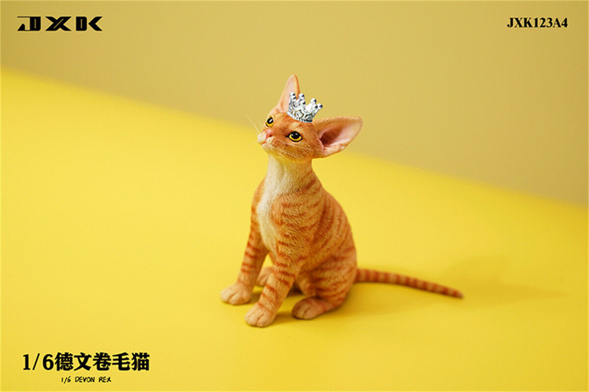 JXK 1/6 Devon Rex Model