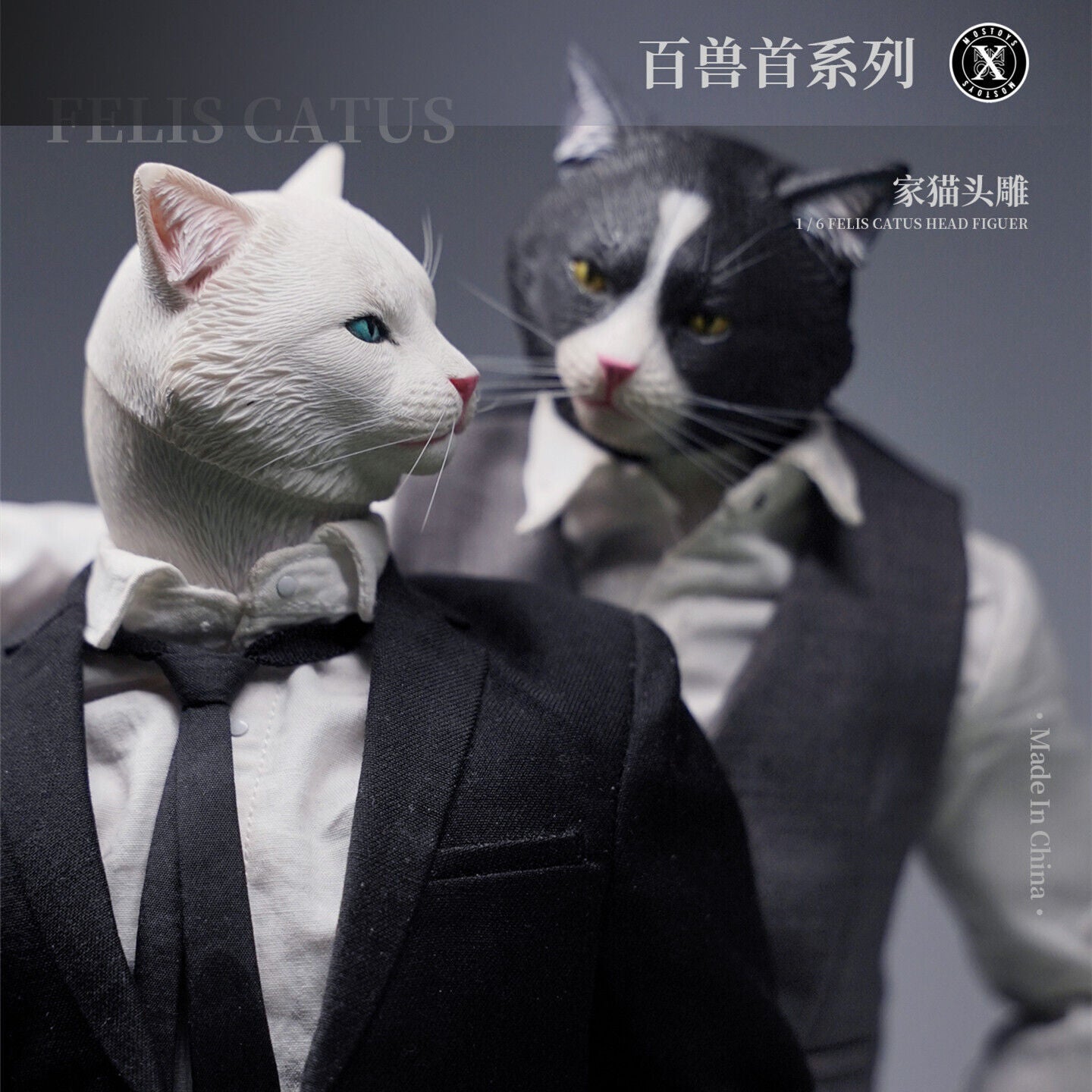 Mostoys 1/6 Felis Catus Head Figure