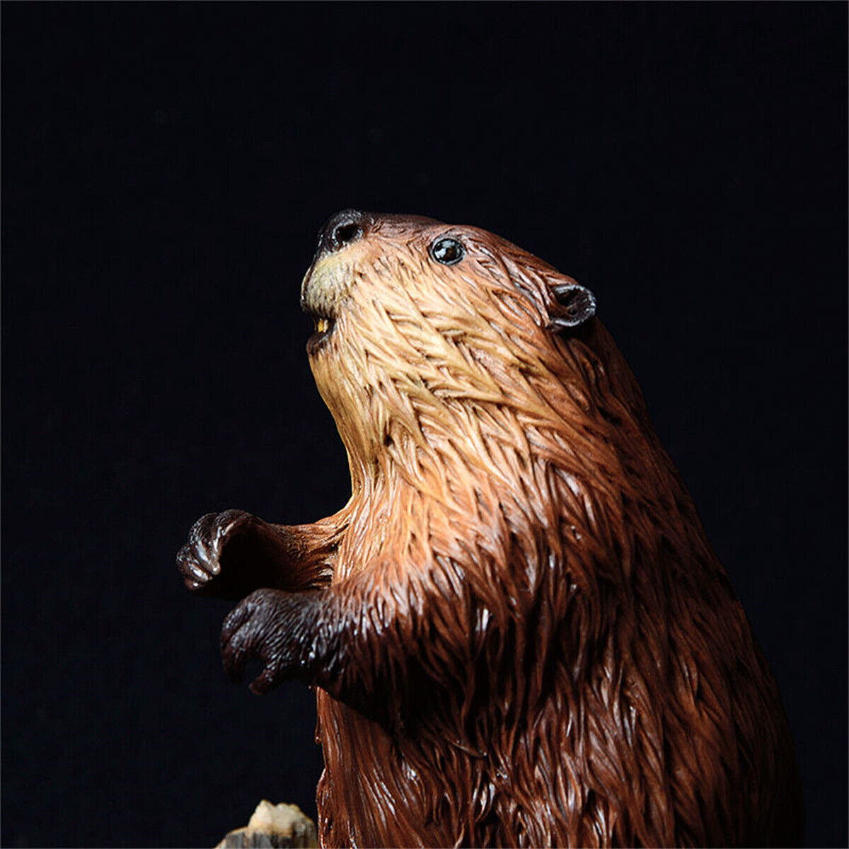 Castor Fiber Biruiai Statue