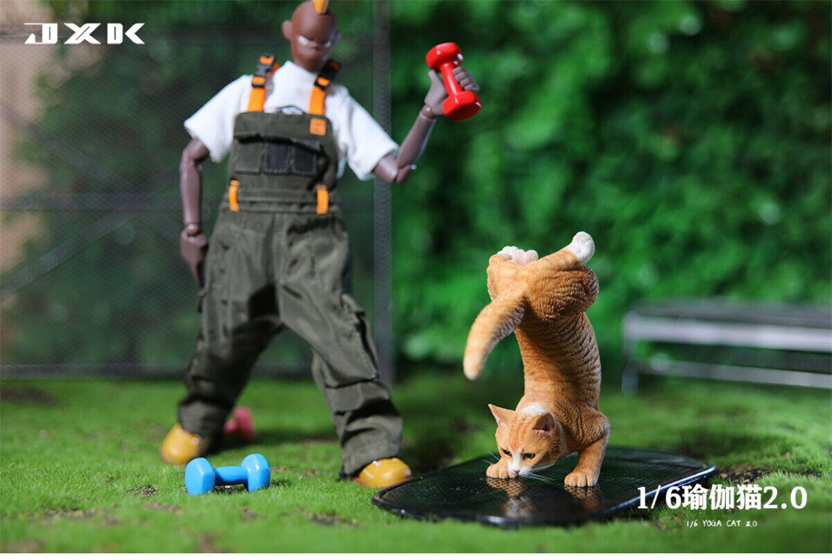 JXK 1/6 Yoga Cat 2.0 Model