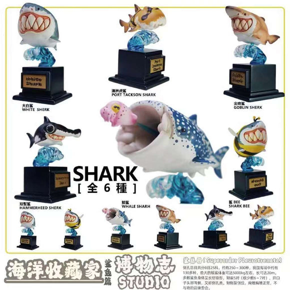 Shark Blind Box Model