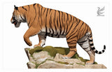 DAFEI Bengal Tiger-KZT085 Model