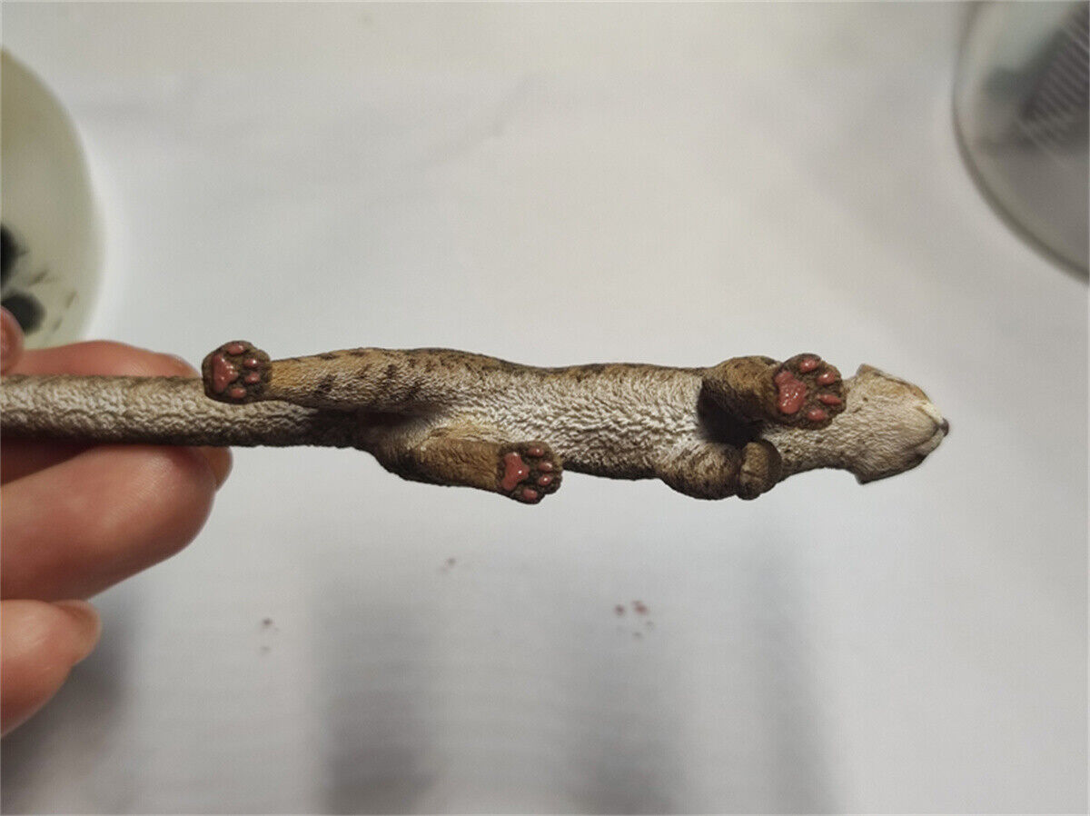 Woo-Model Studio 1/10 Nepalese Marbled Cat Model