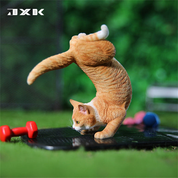 JXK 1/6 Yoga Cat 2.0 Model