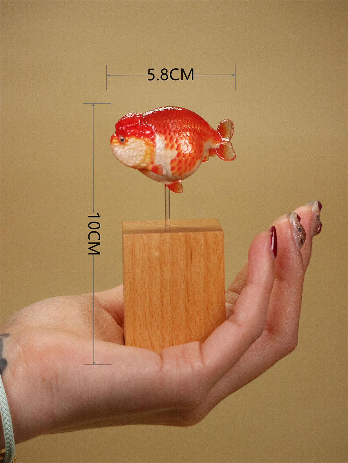 Lanshou Goldfish Model