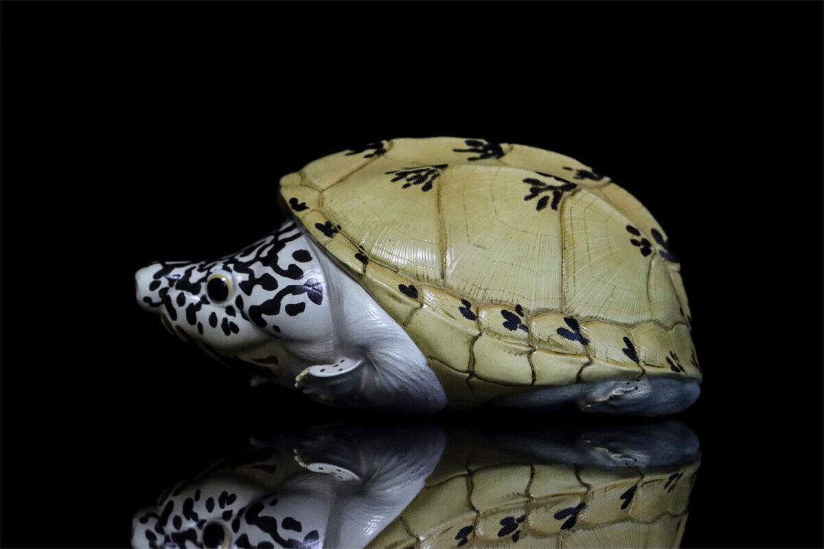 Animal Planet 08 Turtle Blind Box Model