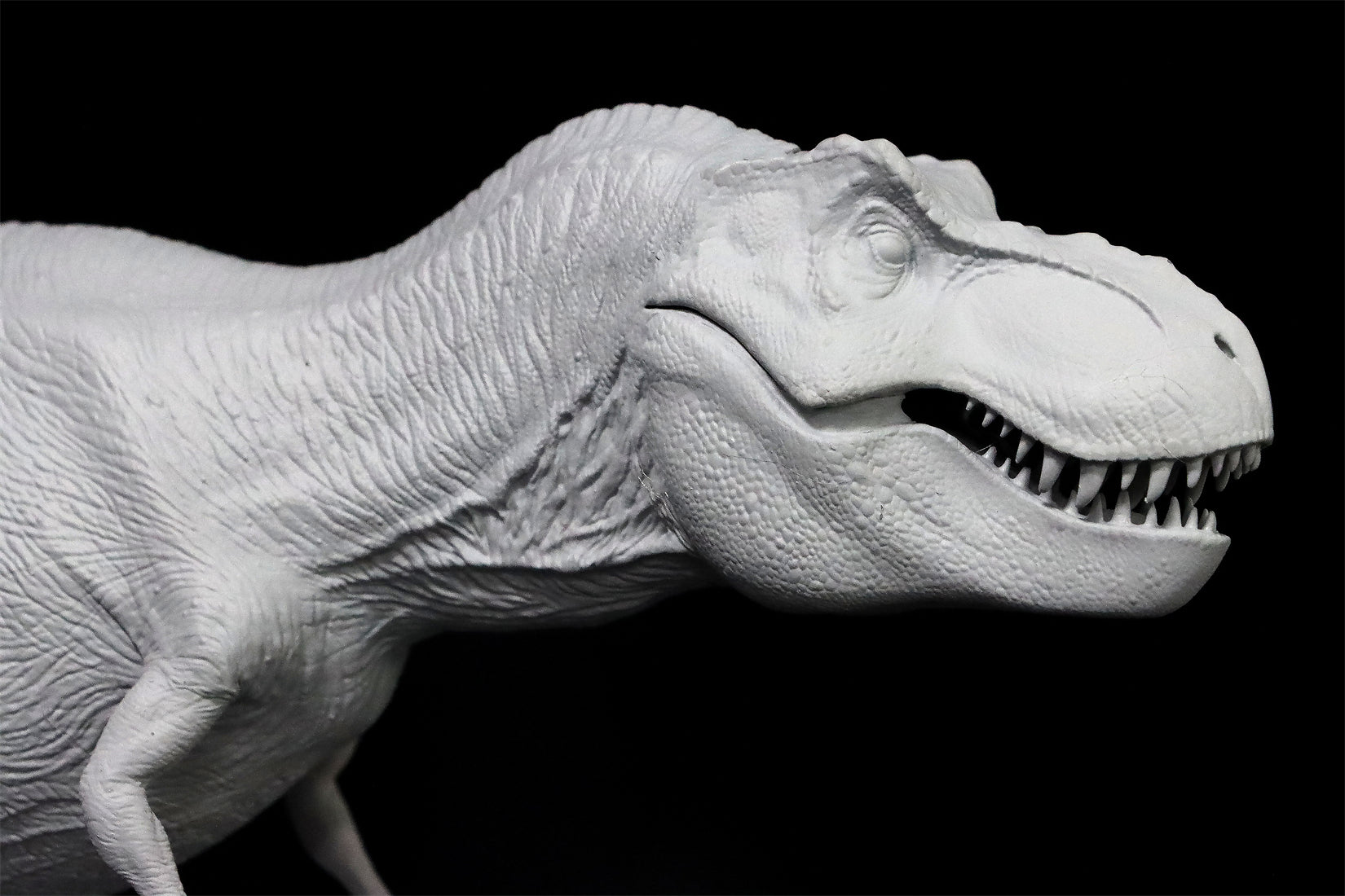 Nanmu Tyrannosaurus Alpha 2.0 Model
