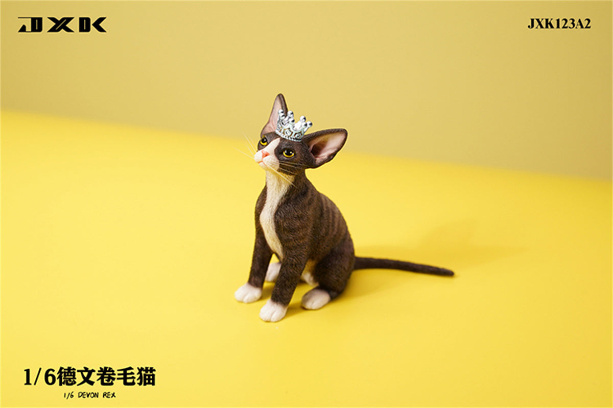 JXK 1/6 Devon Rex Model
