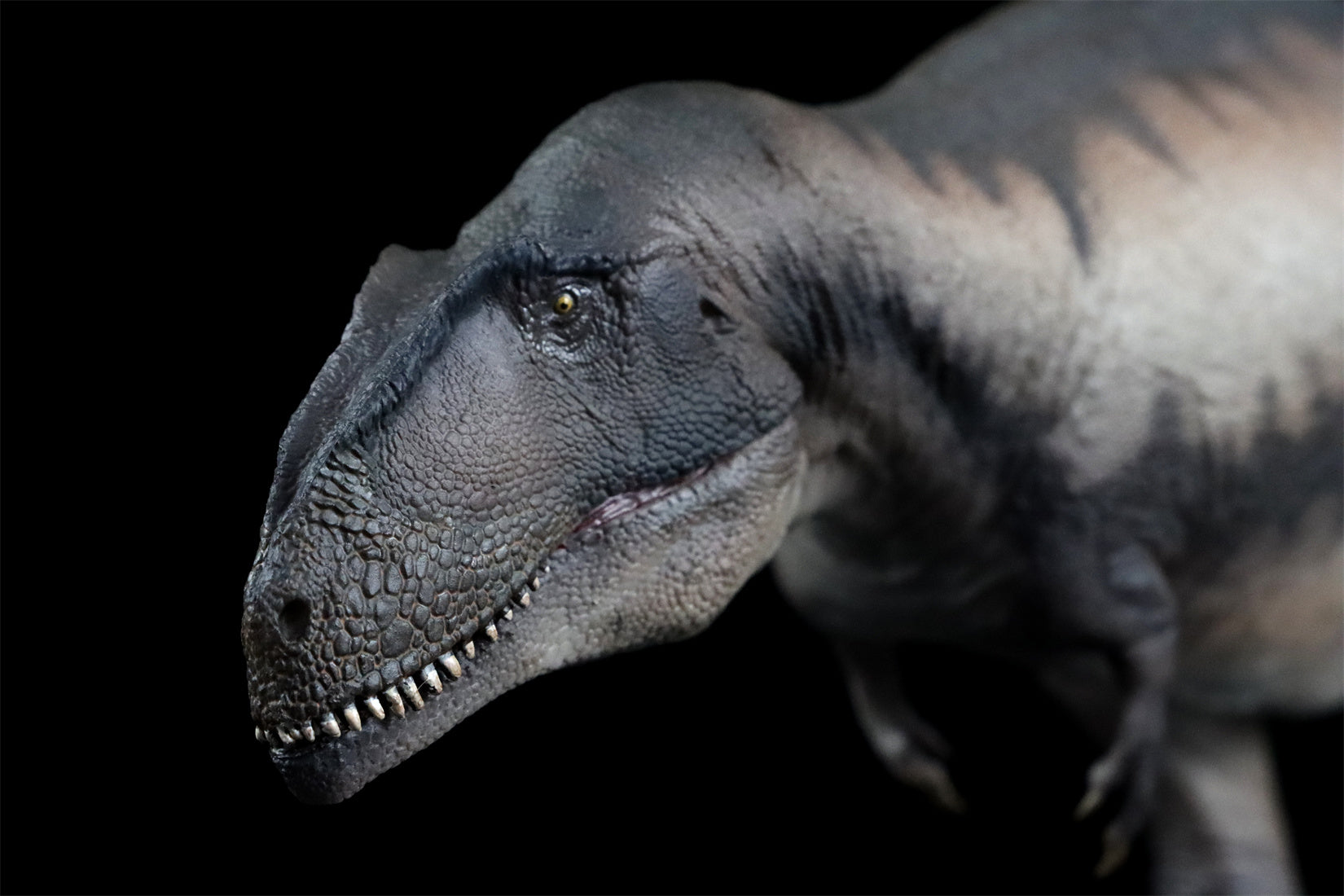 PNSO 68 Mapusaurus Mila Model