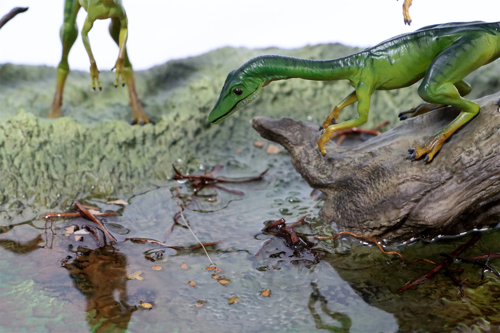 DINO DREAM 1/5 Scale Compsognathus Statue