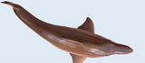 PNSO Helicoprion Haylee Model