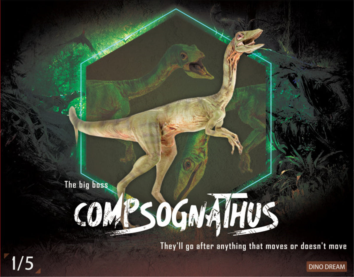 DINO DREAM 1/5 Female Compsognathus Statue