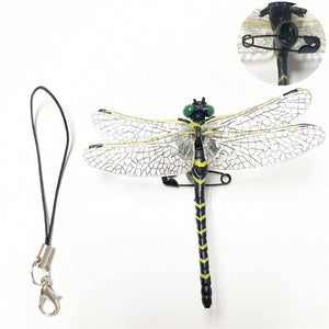 Anotogaster Dragonfly Model