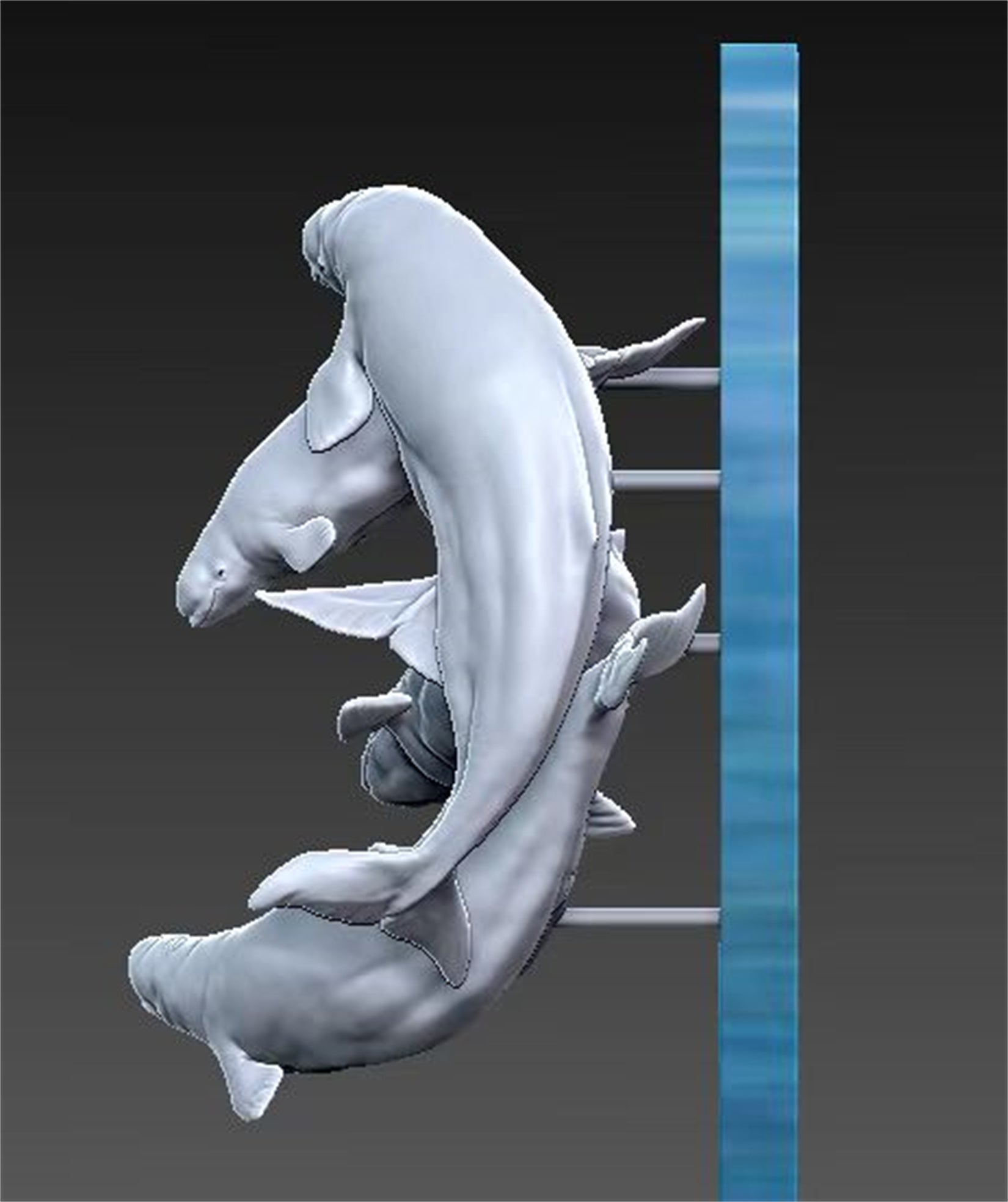 Sumeru Studio 1:10 Scale Beluga Whale Scene Model Kit