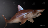 PNSO Helicoprion Haylee Model
