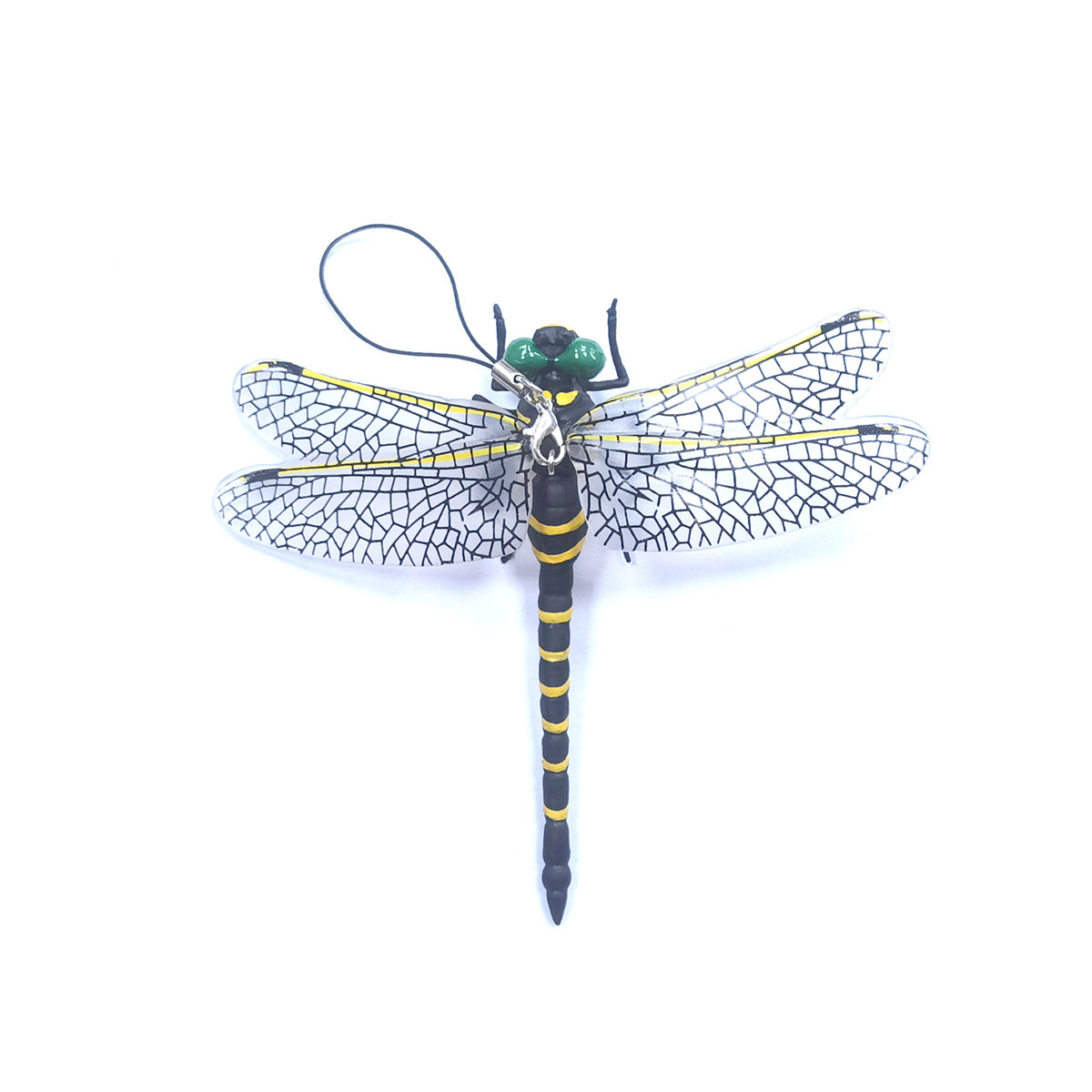 Anotogaster Dragonfly Model