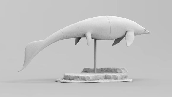 1/35 Himalayasaurus Tibetensis Model