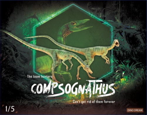 DINO DREAM 1/5 Male Set Compsognathus Statue
