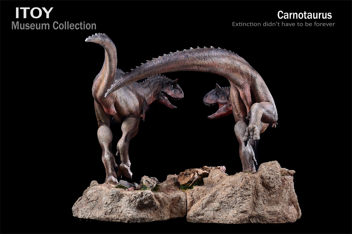 ITOY 1/15 Pair Carnotaurus Statue