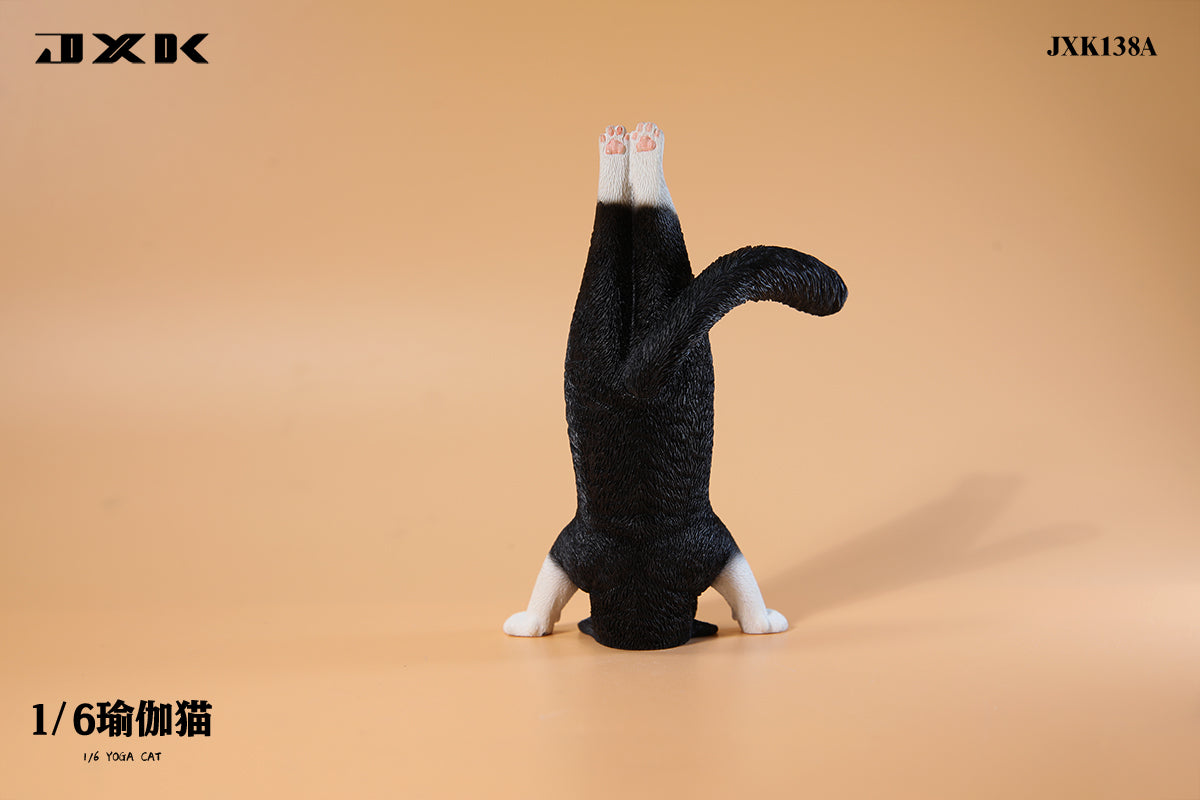 JXK 1/6 Yoga Cat Model