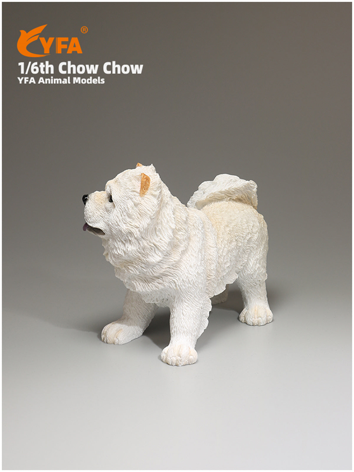JJM 1/6 Chow Chow Dog Model