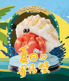 KONGZOO Summer Hermit Crab Model