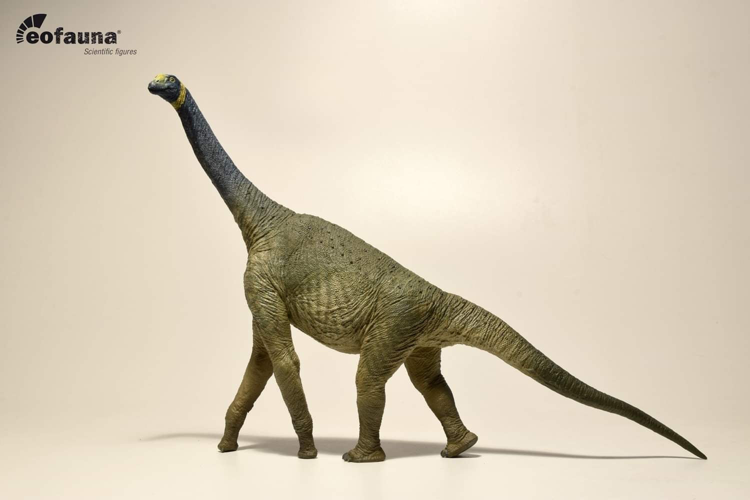 Eofauna 1:40 Scale Atlasaurus Statue