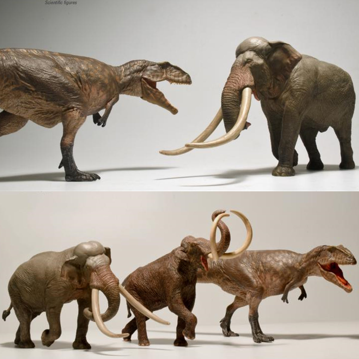 Eofauna 1:35 Scale Giganotosaurus Statue