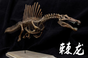 1/20 Spinosaurus Skeleton Model