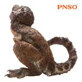 PNSO Tyrannosaurus Rex Baby Figure