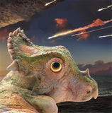 PNSO Sinoceratops Baby Figure
