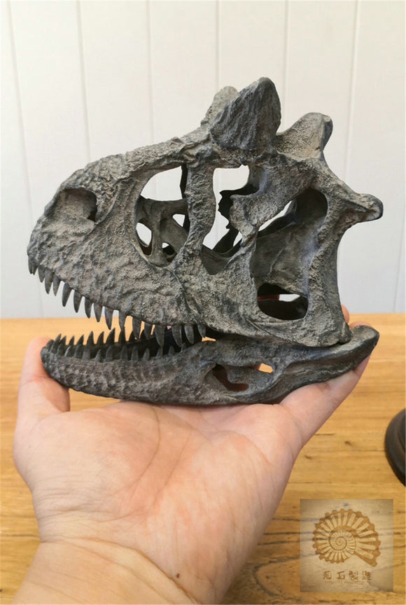 Carnotaurus Skull Skeleton Model