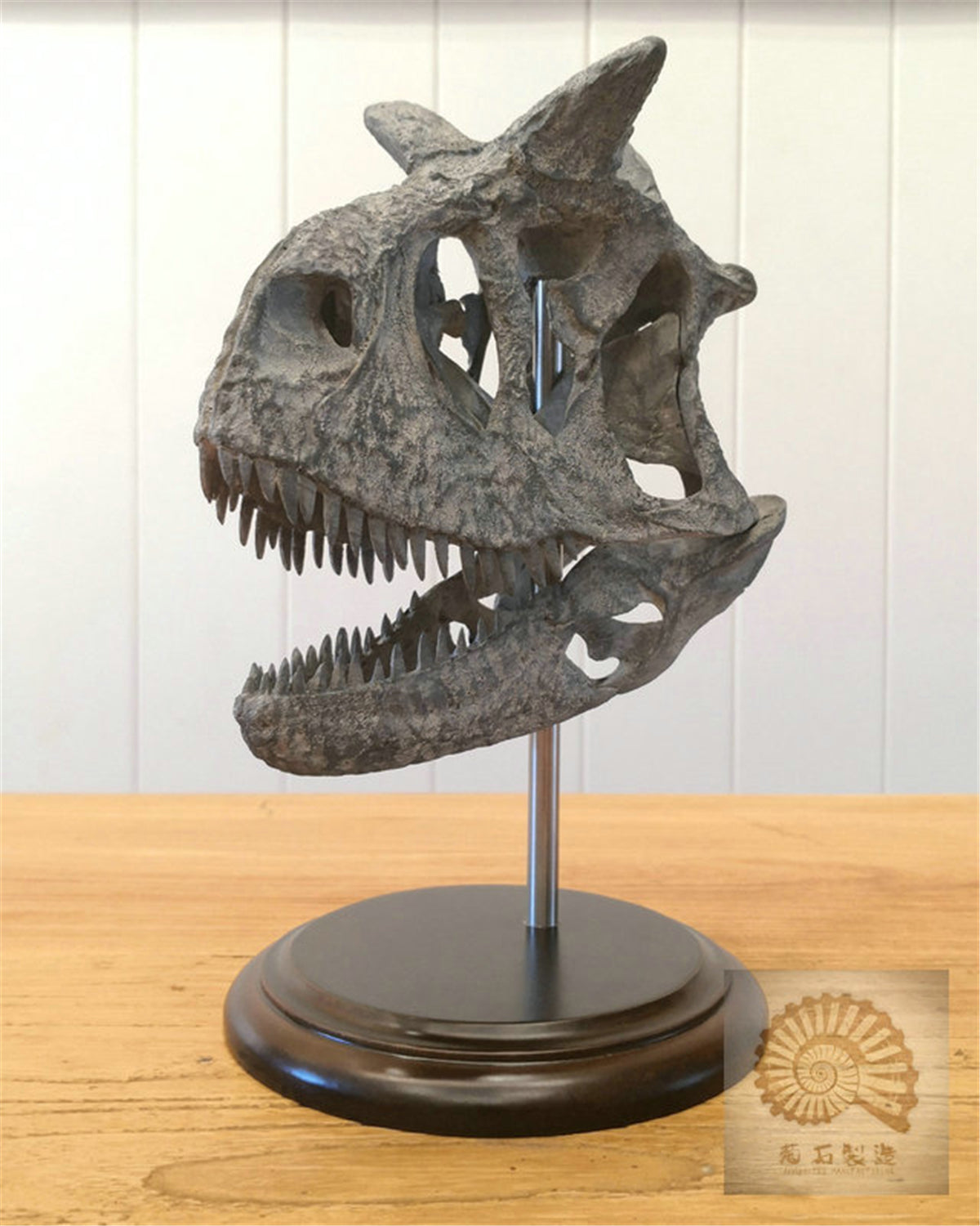 Carnotaurus Skull Skeleton Model