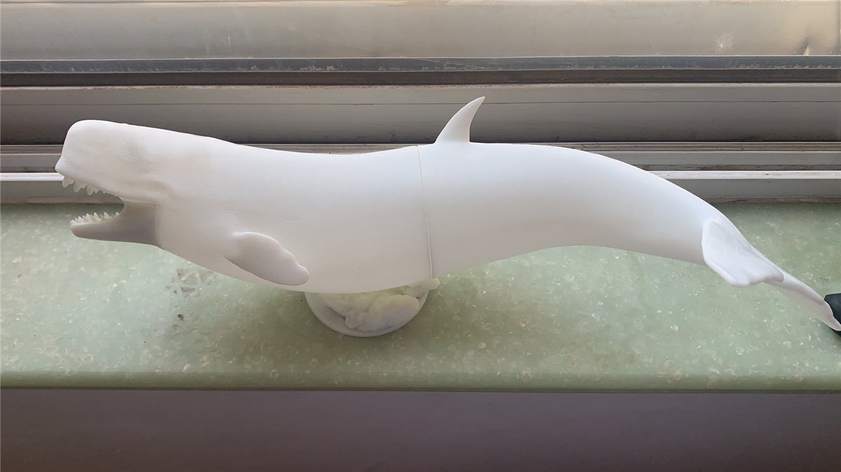 Livyatan melvillei Statue