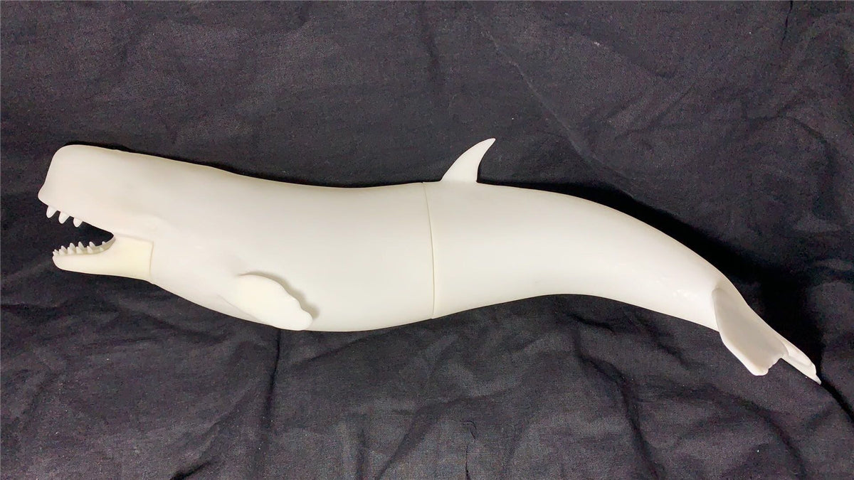 Livyatan melvillei Statue