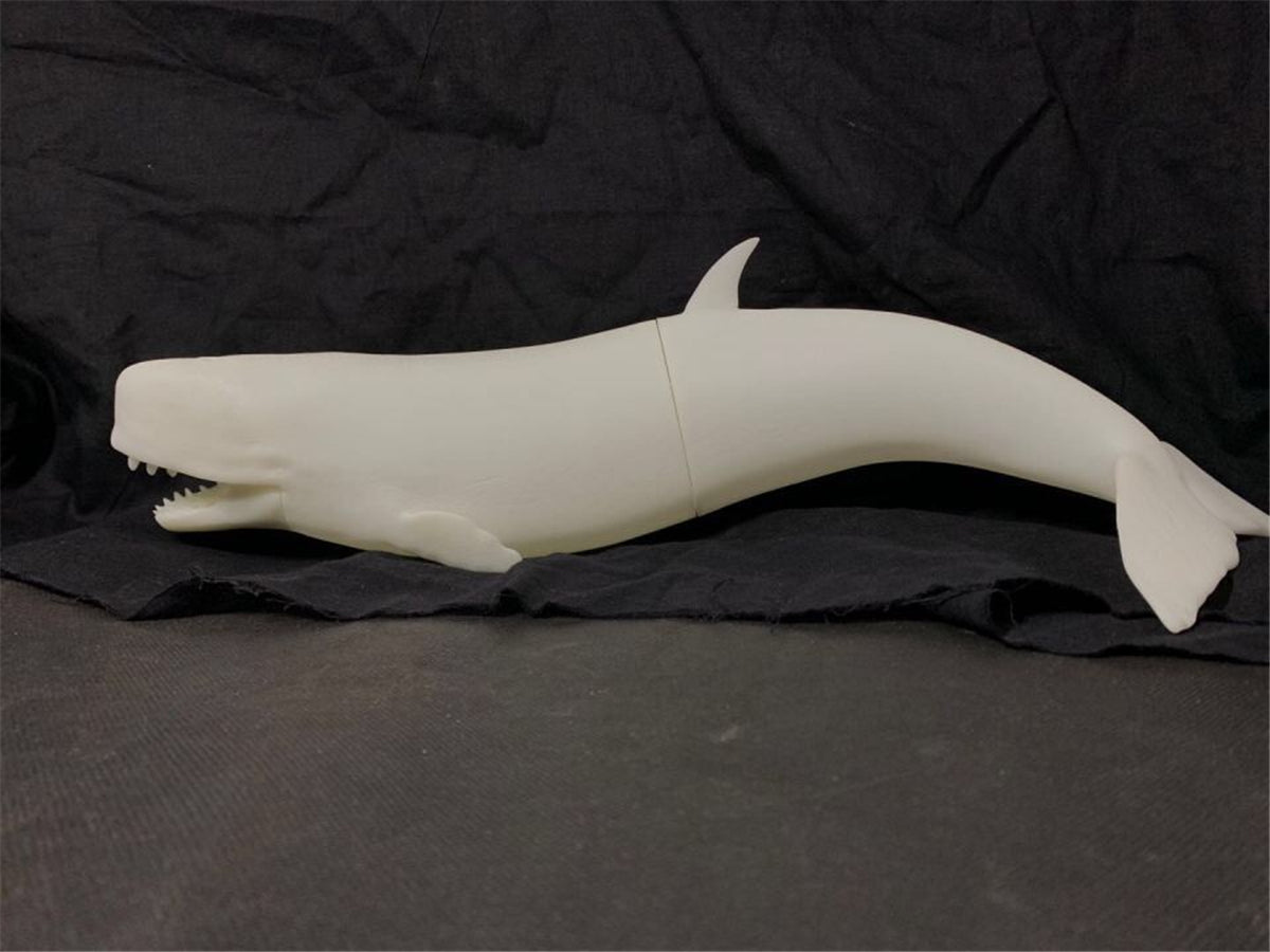 Livyatan melvillei Statue