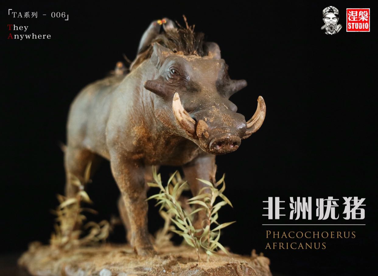 Africa Warthog Scene Model