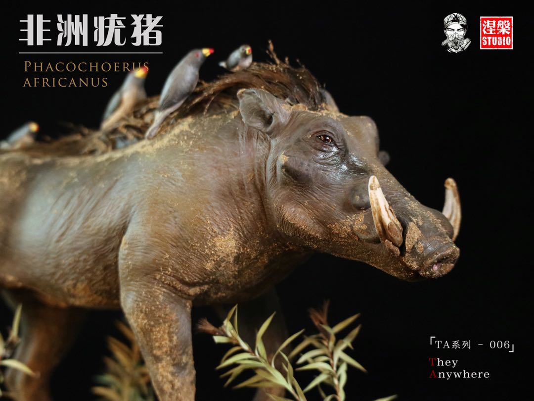 Africa Warthog Scene Model