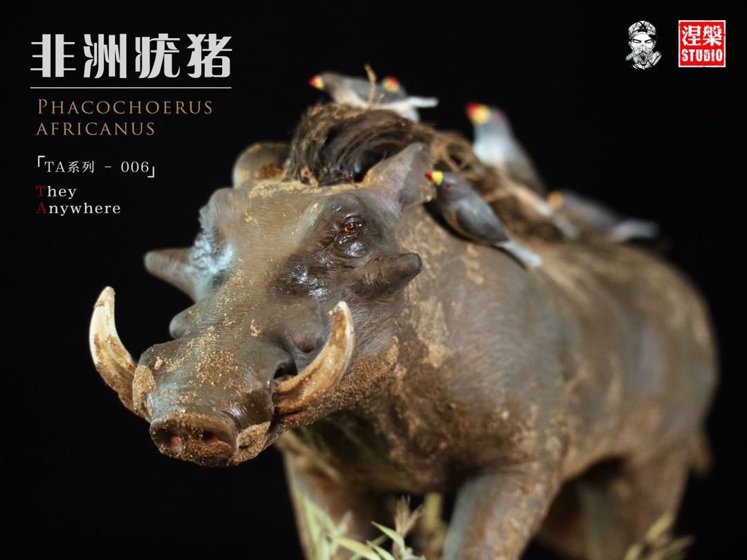 Africa Warthog Scene Model