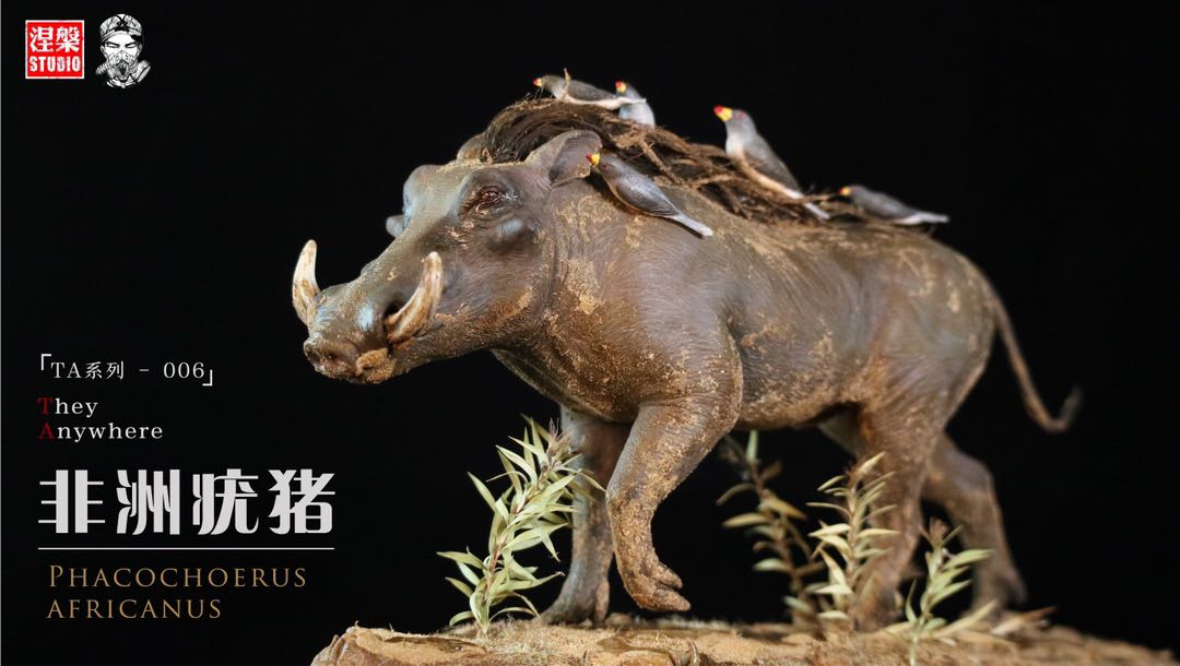 Africa Warthog Scene Model