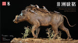 Africa Warthog Scene Model