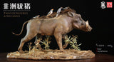 Africa Warthog Scene Model
