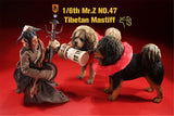 Mr.Z Animal Model 1/6 Tibetan Mastiff Statue