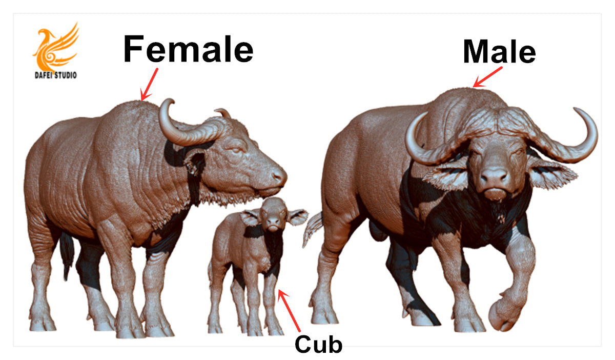 DAFEI African Buffalo Statue